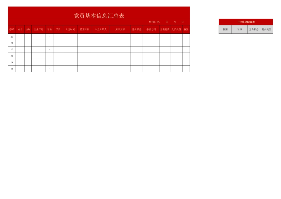 党员基本信息汇总表.xlsx_第2页